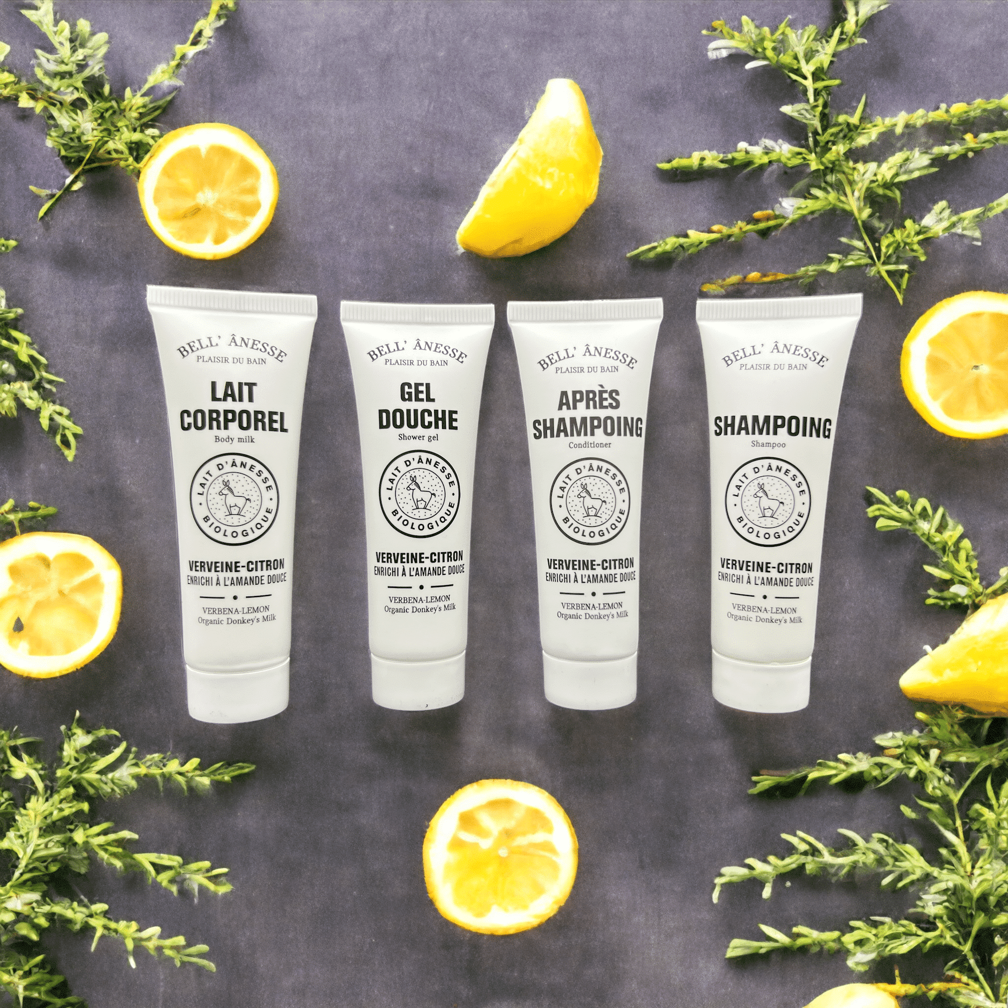Coffret découverte 4 produits lait ânesse BIO – verveine/citron 4X30ml