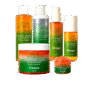 KIT BOMBA LATINA - THÉ VERT/MANDARINE